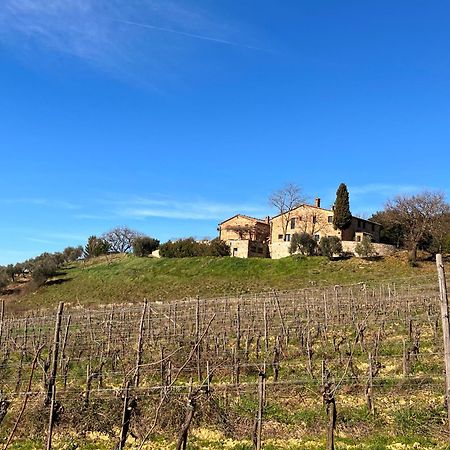 Podere Sole Trequanda Exteriér fotografie