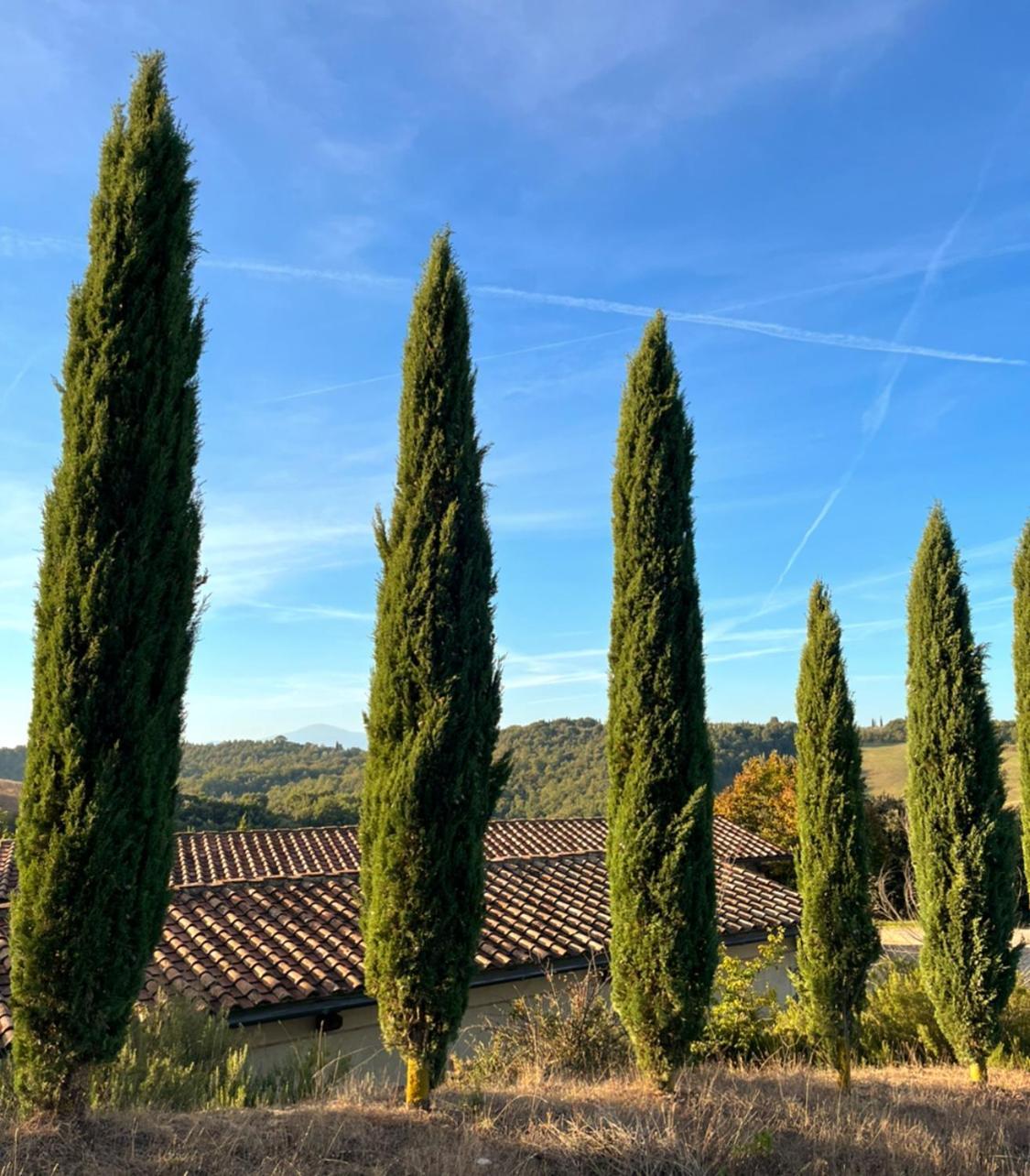 Podere Sole Trequanda Exteriér fotografie