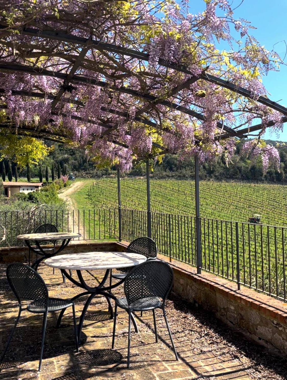 Podere Sole Trequanda Exteriér fotografie