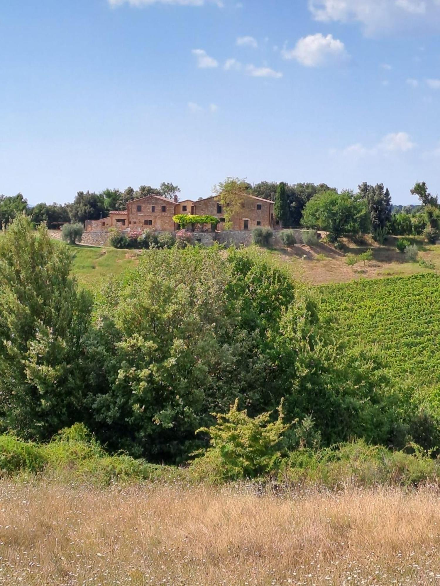 Podere Sole Trequanda Exteriér fotografie